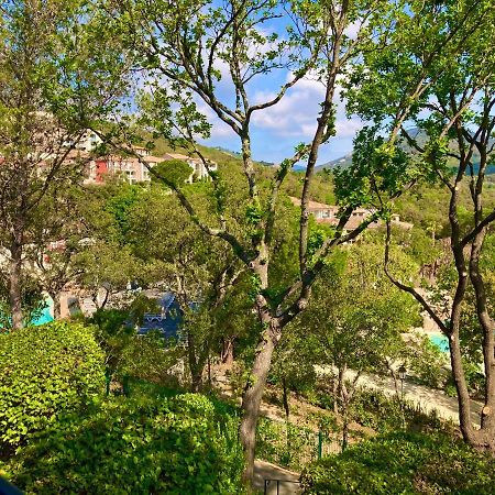 Les Restanques Bruyeres 2103 Proche Piscine Apartment Grimaud Bagian luar foto